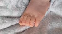 /www/htdocs/w00dbca9/upload/posts/thumbs/baby-foot-1637019.jpg